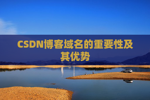 CSDN博客域名的重要性及其优势